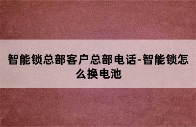 智能锁总部客户总部电话-智能锁怎么换电池