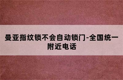 曼亚指纹锁不会自动锁门-全国统一附近电话