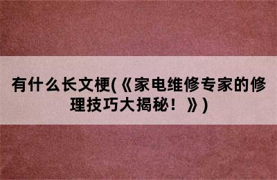 有什么长文梗(《家电维修专家的修理技巧大揭秘！》)