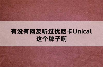 有没有网友听过优尼卡Unical这个牌子啊