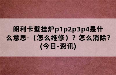 朗利卡壁挂炉p1p2p3p4是什么意思-（怎么维修）？怎么消除？(今日-资讯)