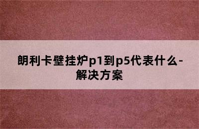 朗利卡壁挂炉p1到p5代表什么-解决方案