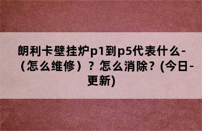 朗利卡壁挂炉p1到p5代表什么-（怎么维修）？怎么消除？(今日-更新)