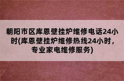 朝阳市区库恩壁挂炉维修电话24小时(库恩壁挂炉维修热线24小时，专业家电维修服务)