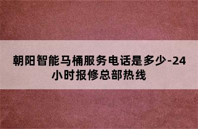 朝阳智能马桶服务电话是多少-24小时报修总部热线