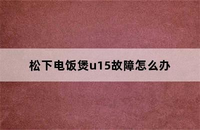 松下电饭煲u15故障怎么办