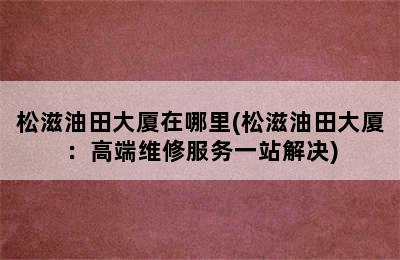 松滋油田大厦在哪里(松滋油田大厦：高端维修服务一站解决)