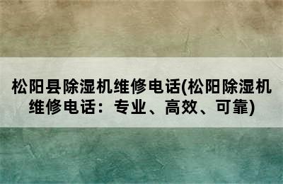 松阳县除湿机维修电话(松阳除湿机维修电话：专业、高效、可靠)