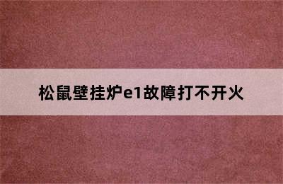 松鼠壁挂炉e1故障打不开火