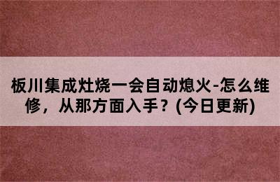 板川集成灶烧一会自动熄火-怎么维修，从那方面入手？(今日更新)