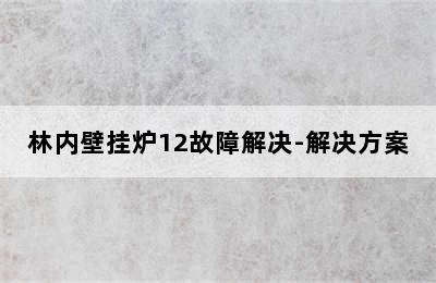 林内壁挂炉12故障解决-解决方案