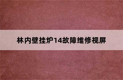 林内壁挂炉14故障维修视屏