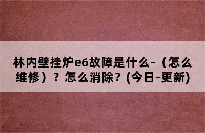 林内壁挂炉e6故障是什么-（怎么维修）？怎么消除？(今日-更新)