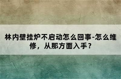 林内壁挂炉不启动怎么回事-怎么维修，从那方面入手？