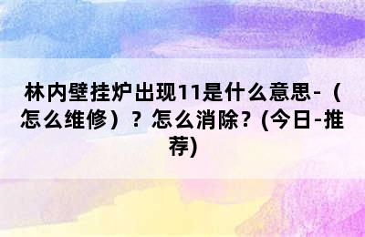 林内壁挂炉出现11是什么意思-（怎么维修）？怎么消除？(今日-推荐)