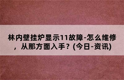 林内壁挂炉显示11故障-怎么维修，从那方面入手？(今日-资讯)