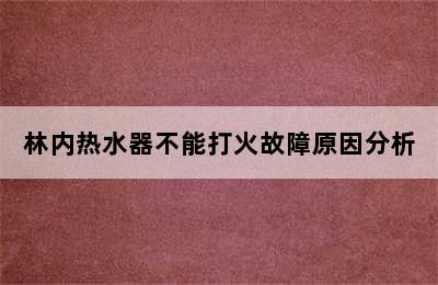 林内热水器不能打火故障原因分析