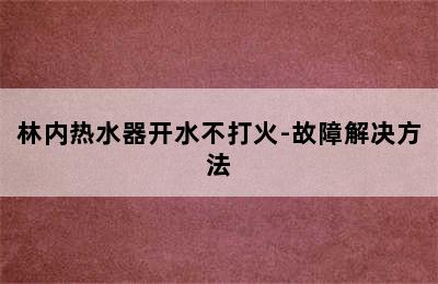 林内热水器开水不打火-故障解决方法