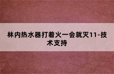 林内热水器打着火一会就灭11-技术支持