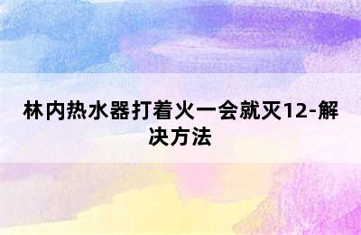 林内热水器打着火一会就灭12-解决方法