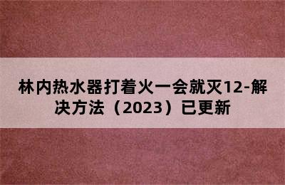 林内热水器打着火一会就灭12-解决方法（2023）已更新