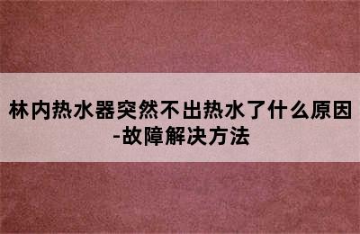 林内热水器突然不出热水了什么原因-故障解决方法