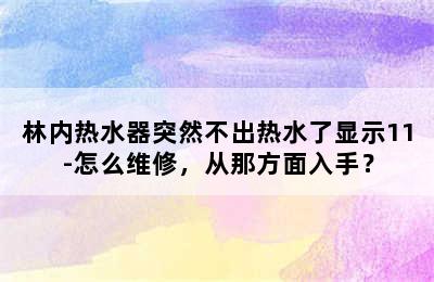 林内热水器突然不出热水了显示11-怎么维修，从那方面入手？