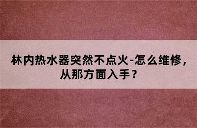 林内热水器突然不点火-怎么维修，从那方面入手？