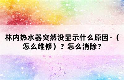 林内热水器突然没显示什么原因-（怎么维修）？怎么消除？