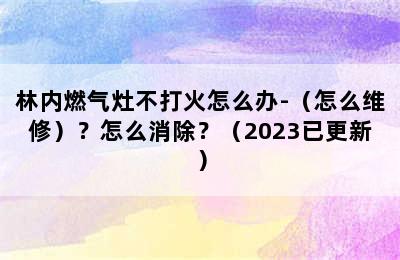 林内燃气灶不打火怎么办-（怎么维修）？怎么消除？（2023已更新）