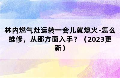 林内燃气灶运转一会儿就熄火-怎么维修，从那方面入手？（2023更新）