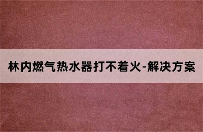 林内燃气热水器打不着火-解决方案