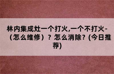 林内集成灶一个打火,一个不打火-（怎么维修）？怎么消除？(今日推荐)