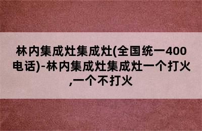 林内集成灶集成灶(全国统一400电话)-林内集成灶集成灶一个打火,一个不打火