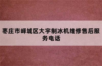 枣庄市峄城区大宇制冰机维修售后服务电话