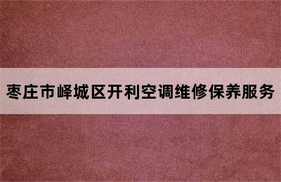 枣庄市峄城区开利空调维修保养服务