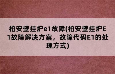 柏安壁挂炉e1故障(柏安壁挂炉E1故障解决方案，故障代码E1的处理方式)