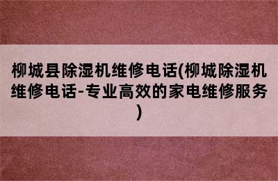 柳城县除湿机维修电话(柳城除湿机维修电话-专业高效的家电维修服务)