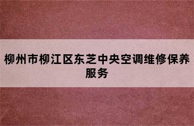 柳州市柳江区东芝中央空调维修保养服务