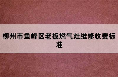 柳州市鱼峰区老板燃气灶维修收费标准