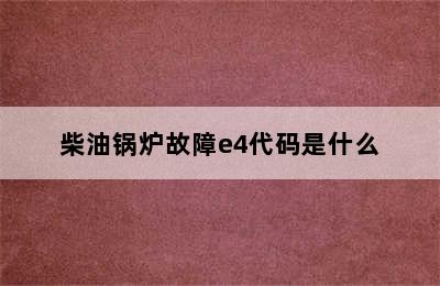 柴油锅炉故障e4代码是什么