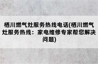 栖川燃气灶服务热线电话(栖川燃气灶服务热线：家电维修专家帮您解决问题)