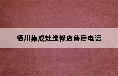 栖川集成灶维修店售后电话