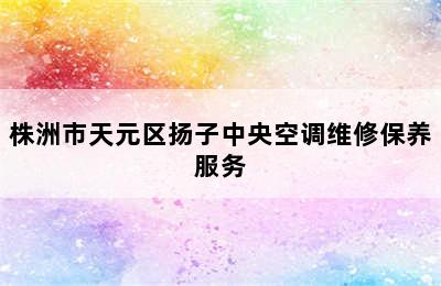 株洲市天元区扬子中央空调维修保养服务