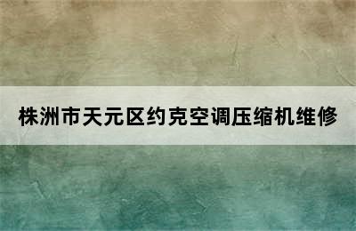 株洲市天元区约克空调压缩机维修