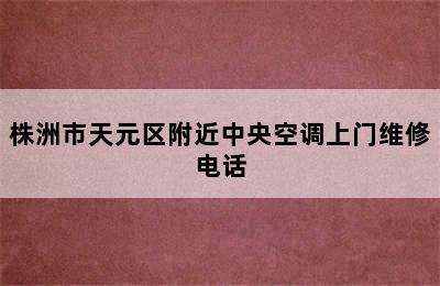 株洲市天元区附近中央空调上门维修电话