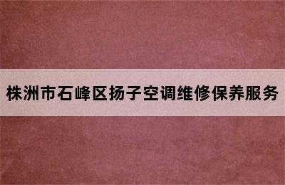 株洲市石峰区扬子空调维修保养服务