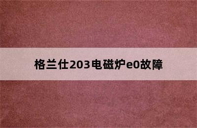 格兰仕203电磁炉e0故障