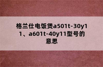 格兰仕电饭煲a501t-30y11、a601t-40y11型号的意思