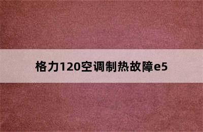 格力120空调制热故障e5